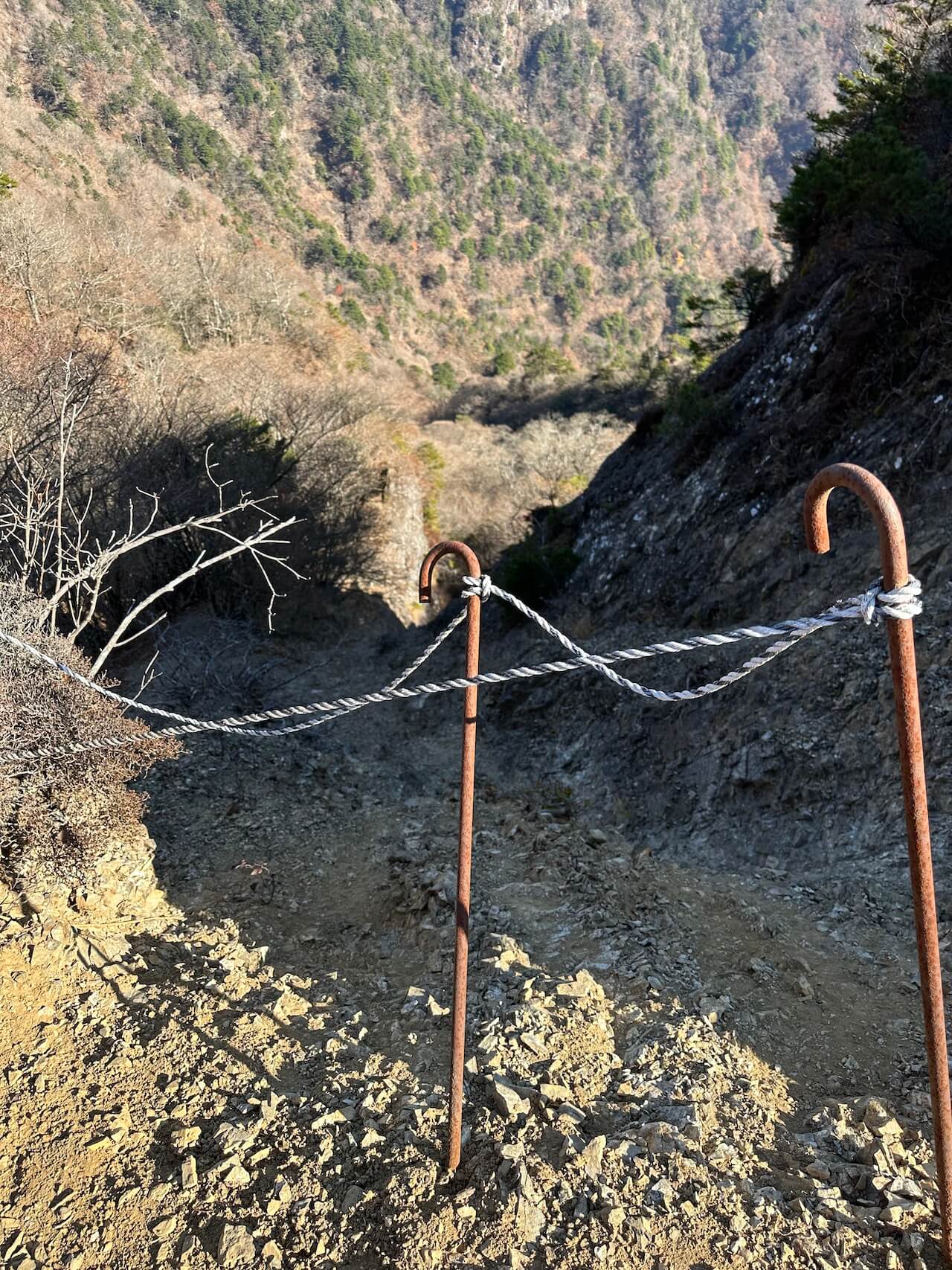 山行の記録西湖深部の鬼ヶ岳から王岳への稜線を初体験してきました 山のブログ